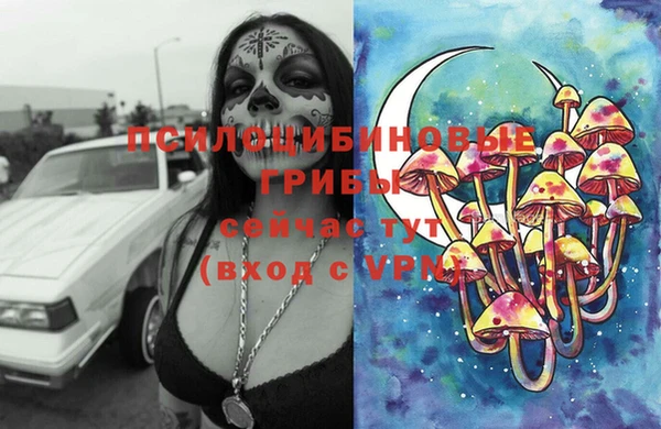 дурь Нея