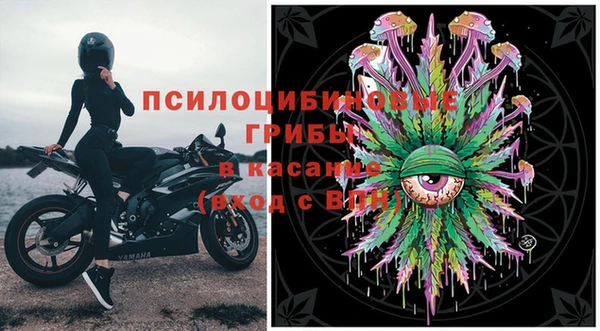 дурь Нея
