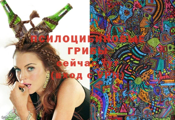 ALPHA PVP Нефтекумск