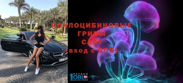 СК Вязьма